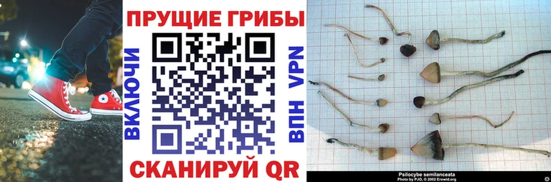 Галлюциногенные грибы ЛСД  Горнозаводск 